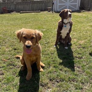 Meet your Posher, Brian